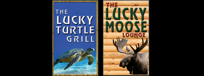 lucky turtle lucky moose