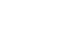 swizzle fort wayne